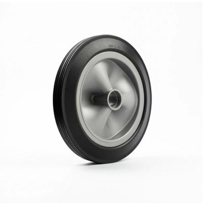 300x50 Complete Wheel