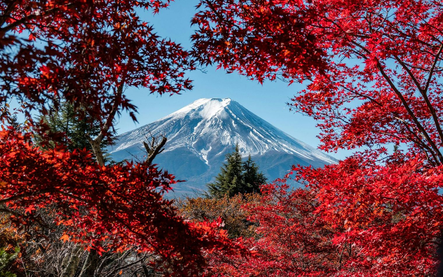 Nippon Fall Colors
