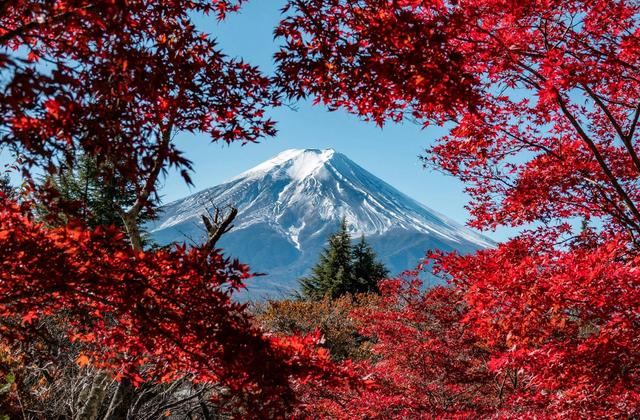 Nippon Fall Colors