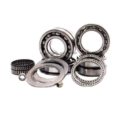 Transfer Case Bearings