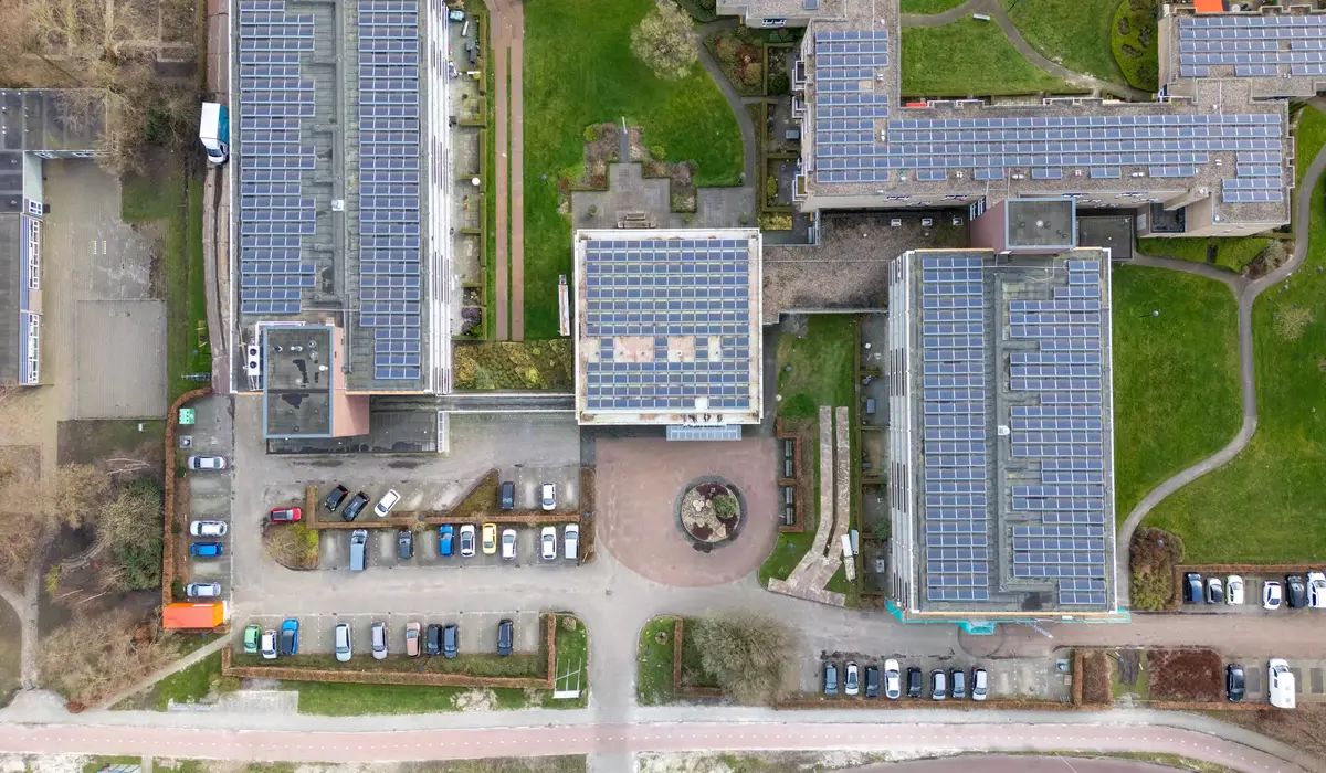 Zonnepanelen in een Nederlands landschap