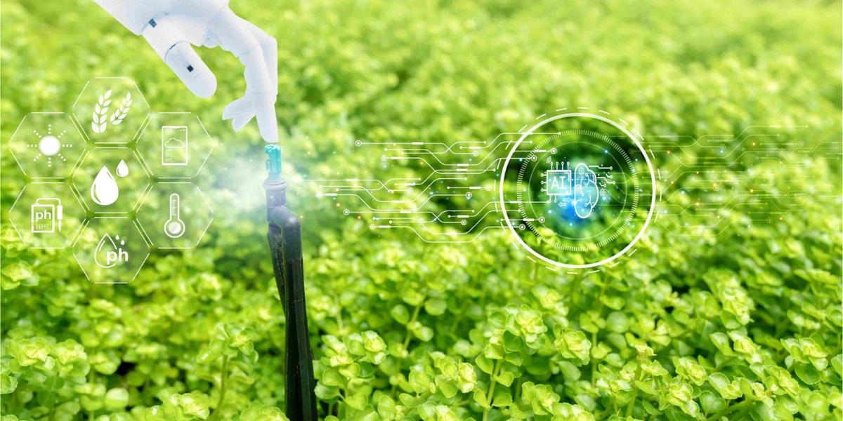 A sustainability conference scene where leaders discuss climate challenges, digitalization, and A.I. readiness during Sustainability Week Europe.