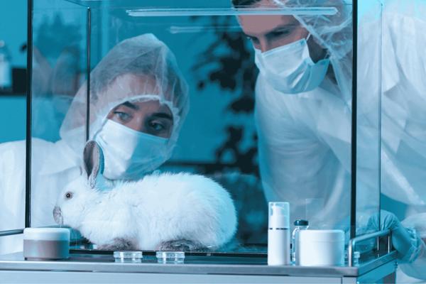 When AI Meets Animal Welfare: Exploring the Moral Frontiers of Intelligence