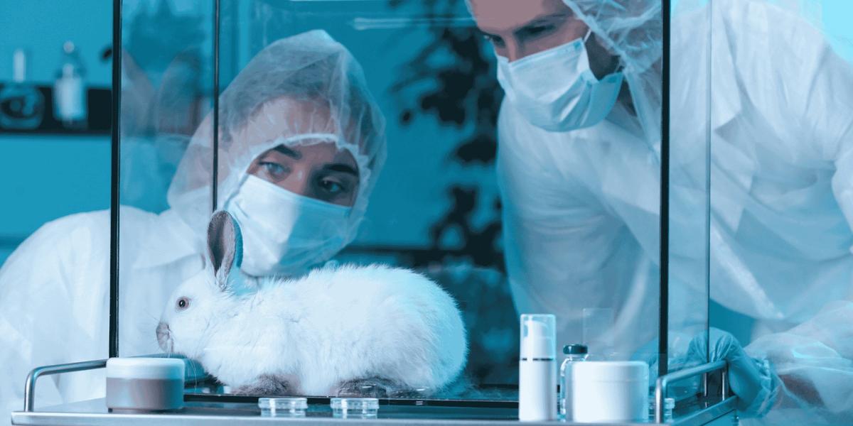 When AI Meets Animal Welfare: Exploring the Moral Frontiers of Intelligence