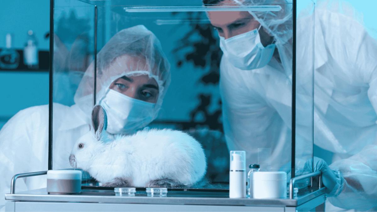 When AI Meets Animal Welfare: Exploring the Moral Frontiers of Intelligence
