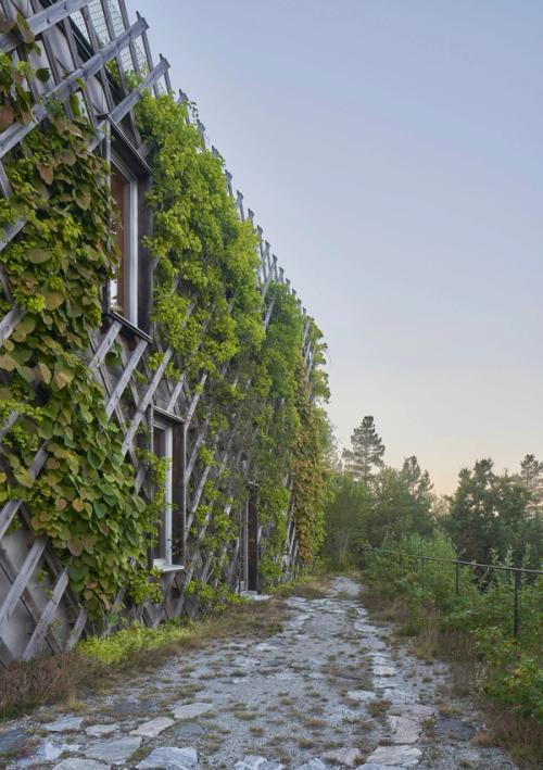 Garden House by Tham & Videgård Arkitekter