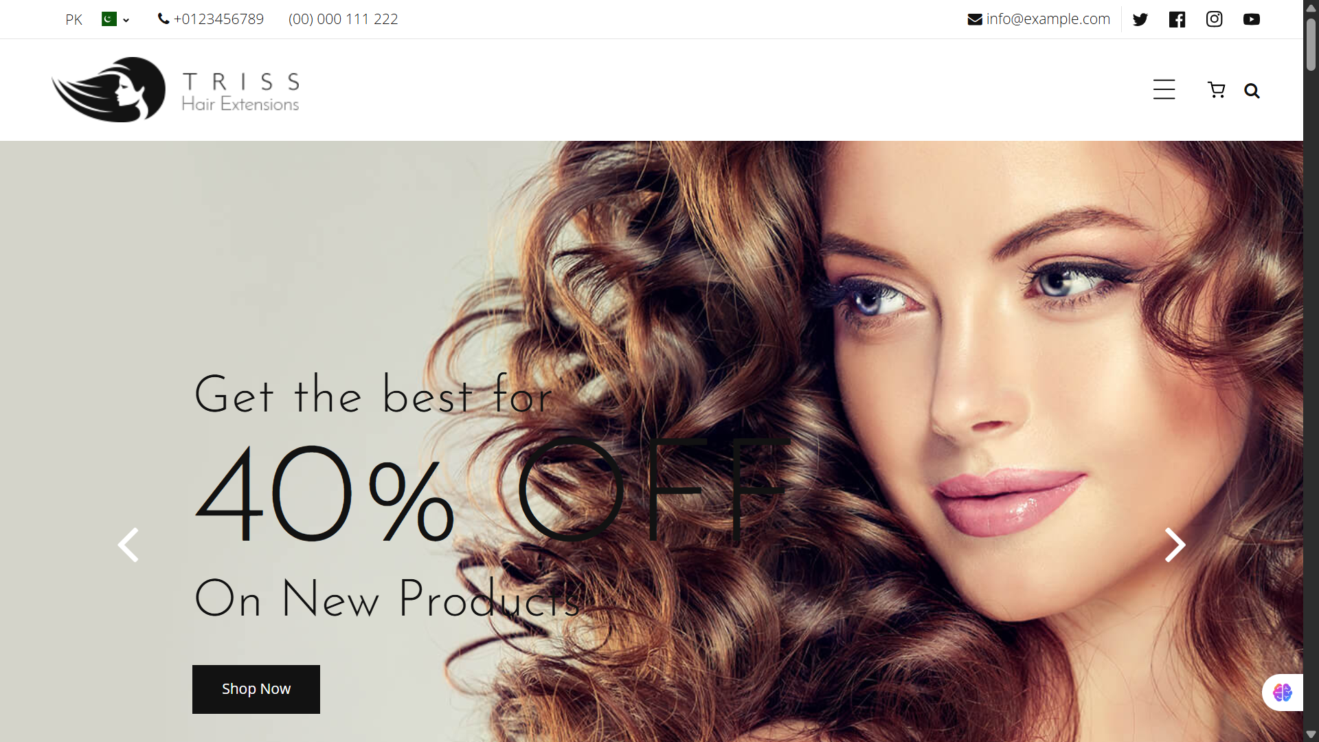 Triss Shopify Theme – A Sleek and Powerful eCommerce Solution Free Download
