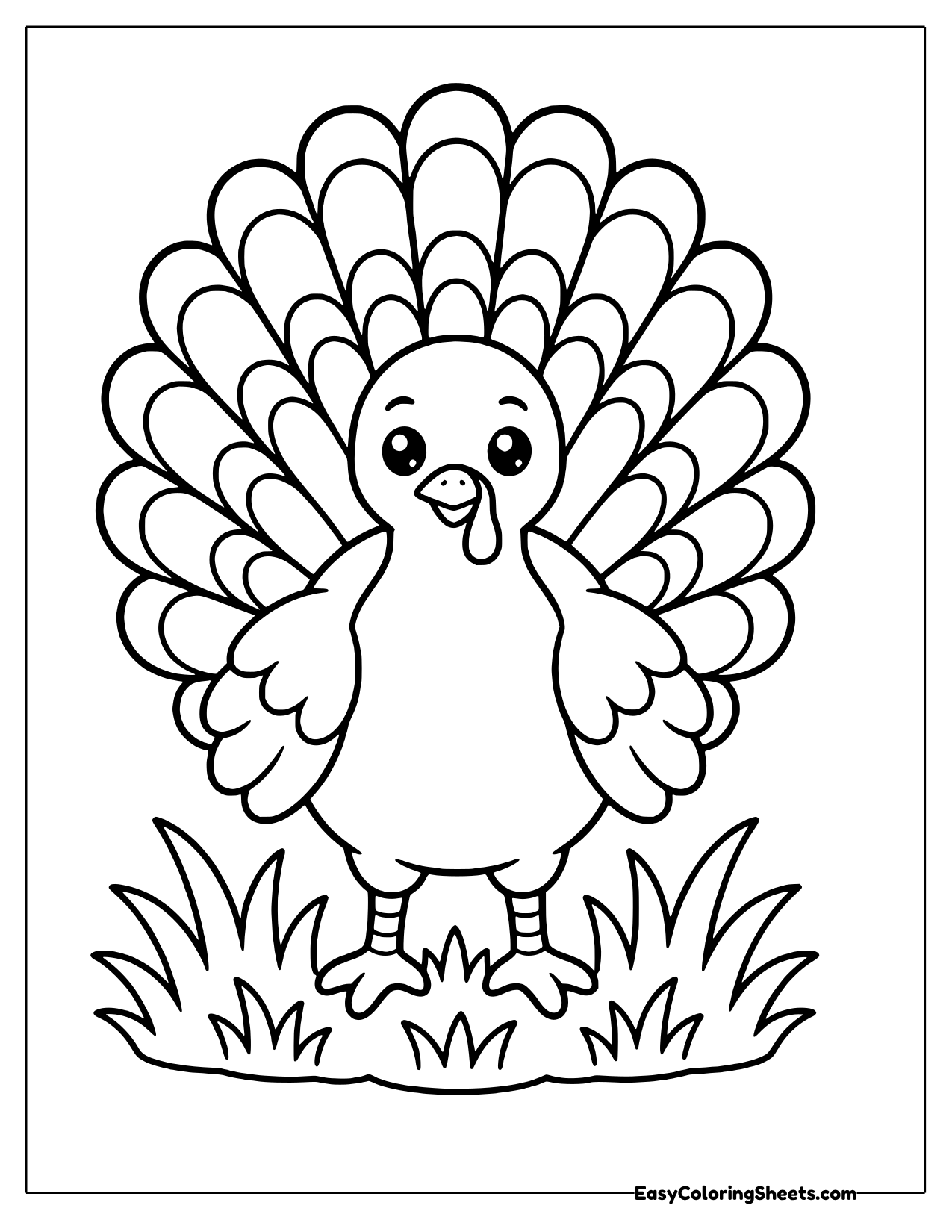 Turkey facing forward with its tail fanned out
