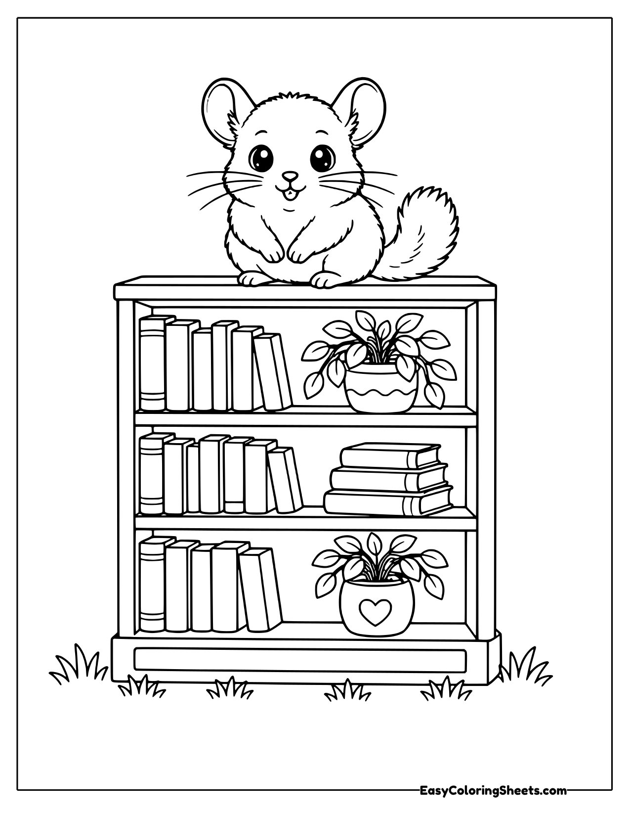 Chinchilla sitting on a bookshelf