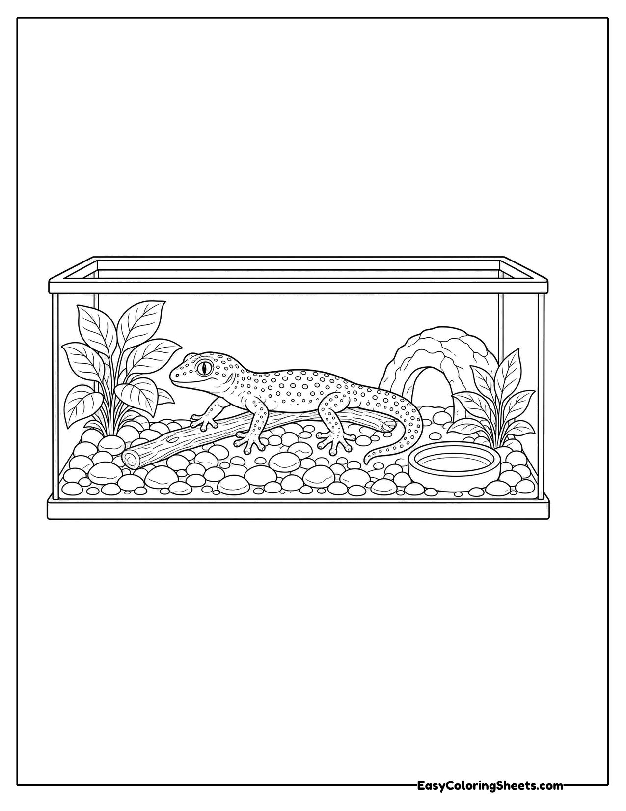 Gecko inside a glass terrarium with a hide and plants