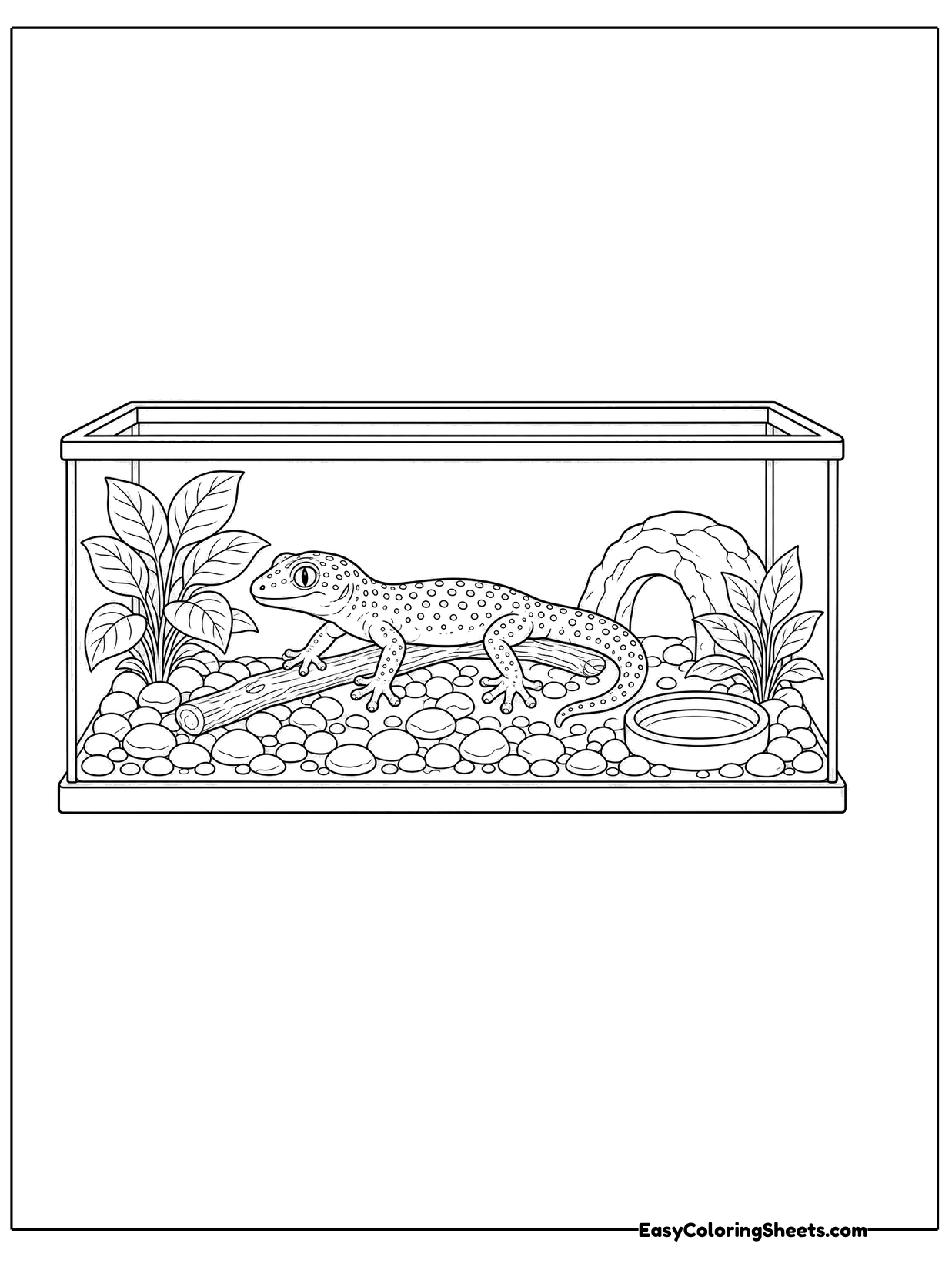 A gecko rests in a glass tank set up with a rock hide, plants, a small dish and a gravel floor.
