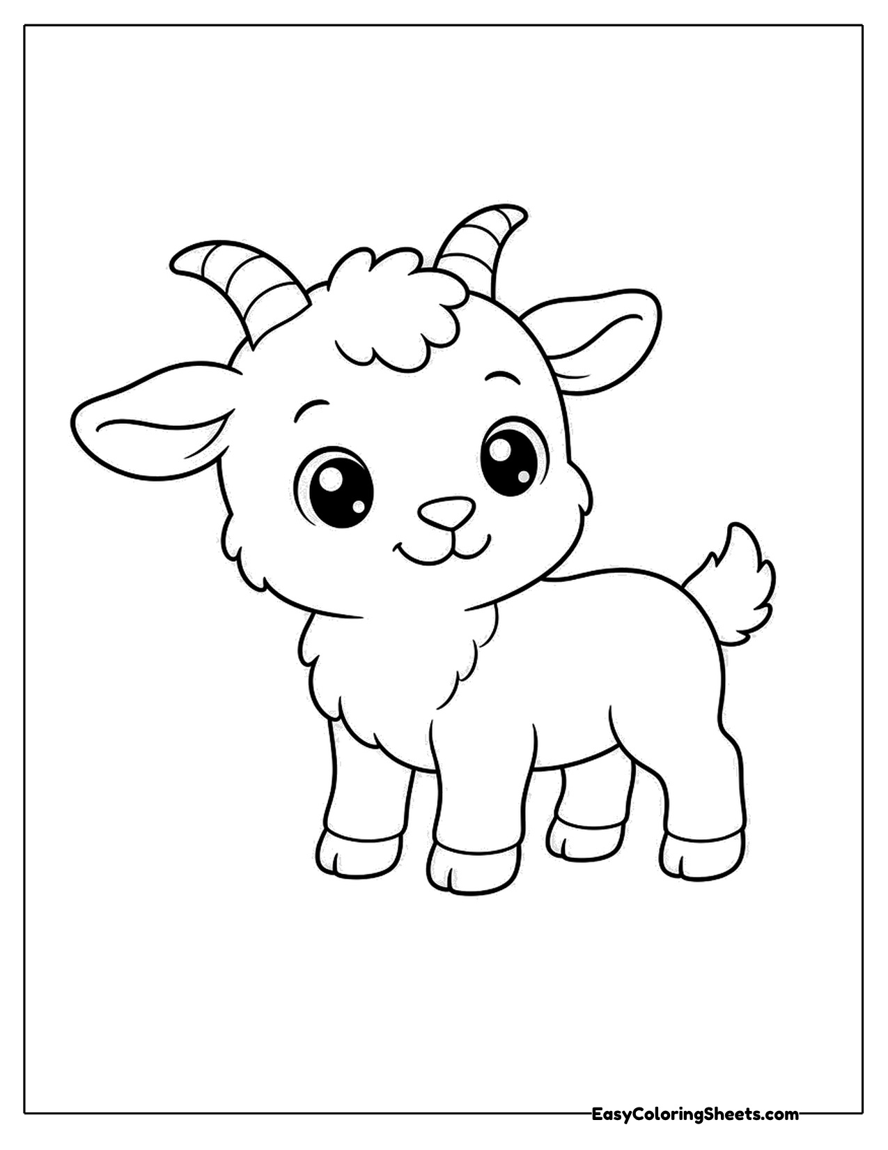 Fluffy baby goat standing with small curved horns