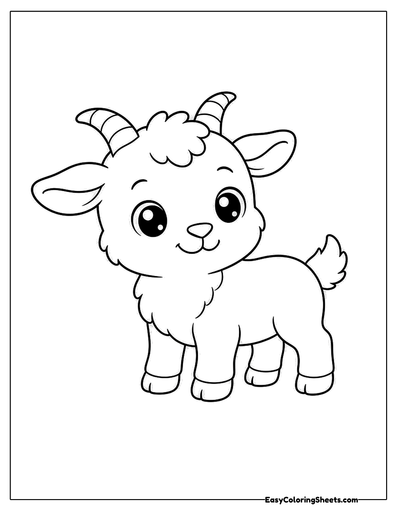 Fluffy baby goat standing with small curved horns