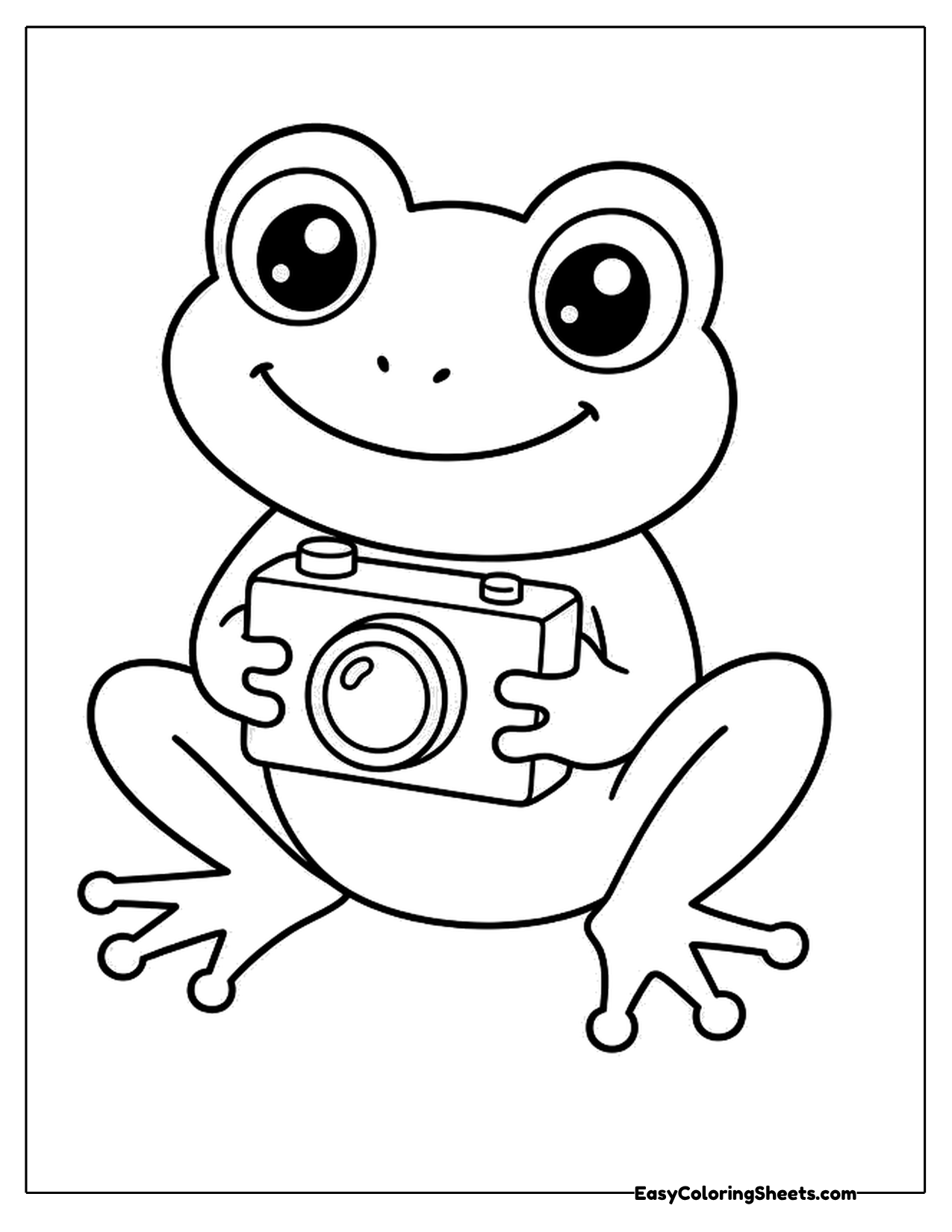 Frog holding a camera in front of its belly