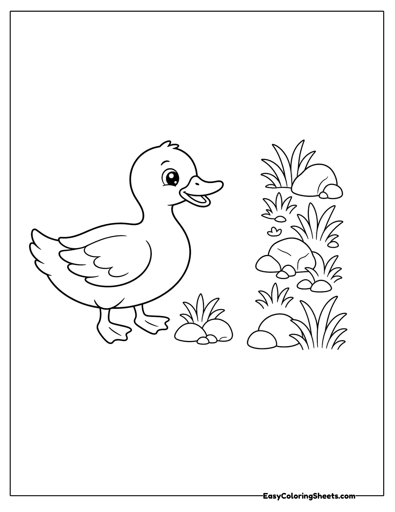 Duck walking in the grass