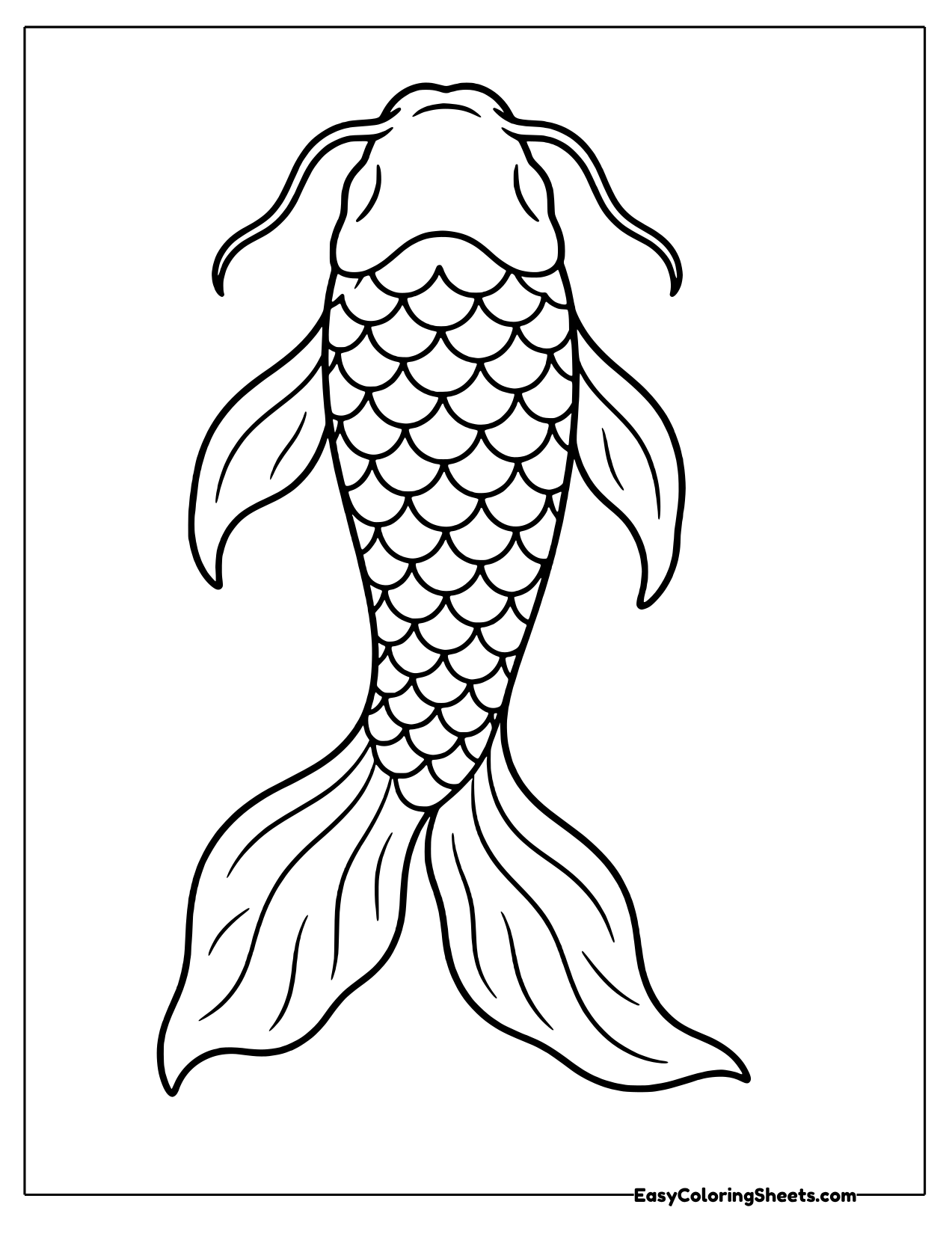 Koi swimming straight up with a flowing tail