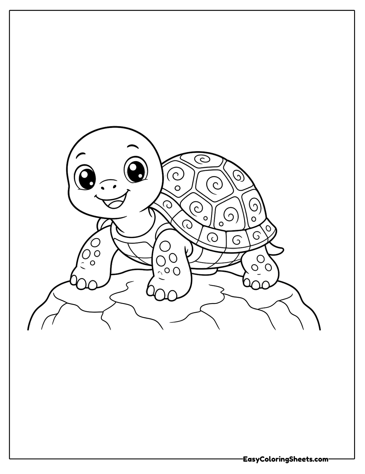 Turtle sitting on a rock