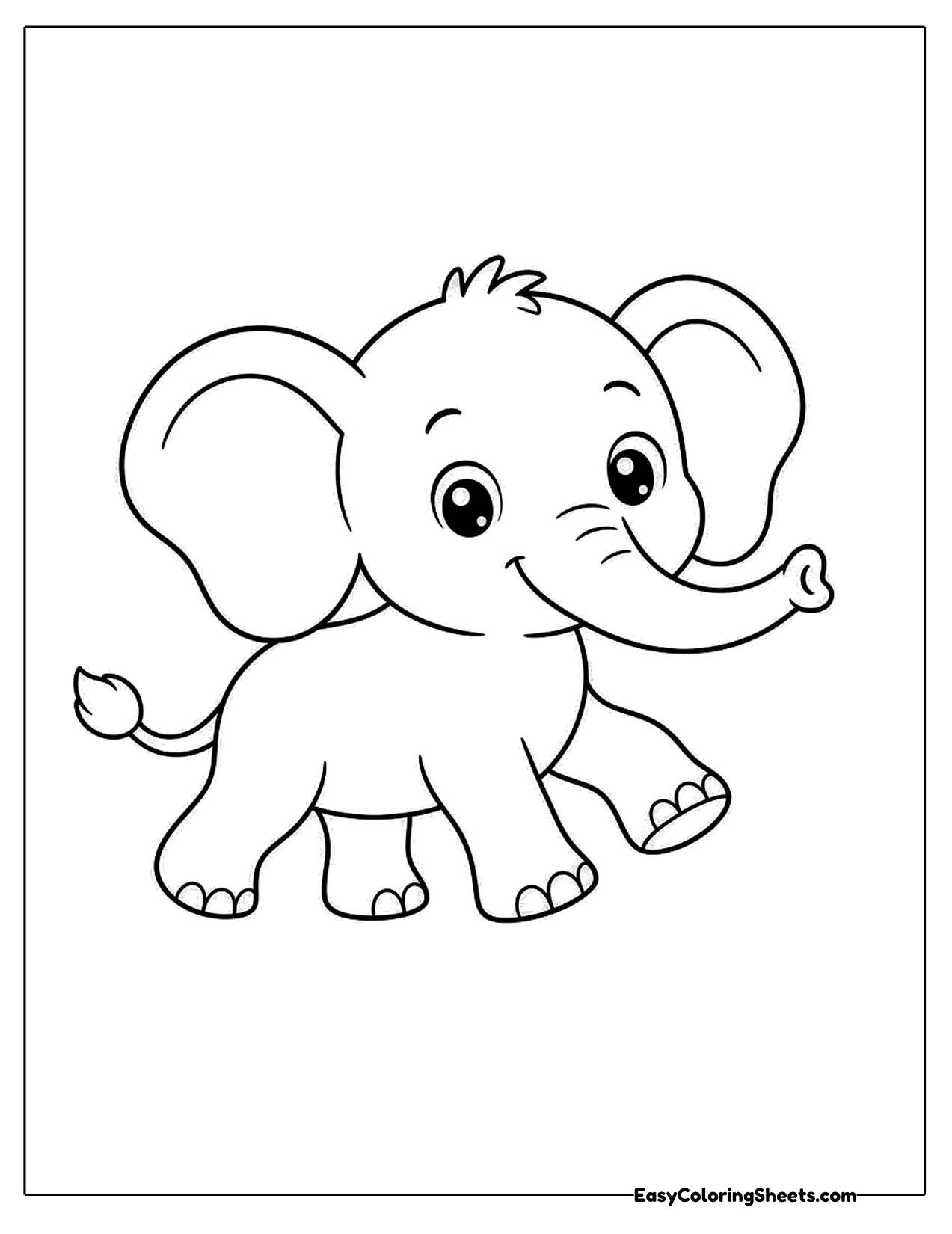 Baby elephant walking