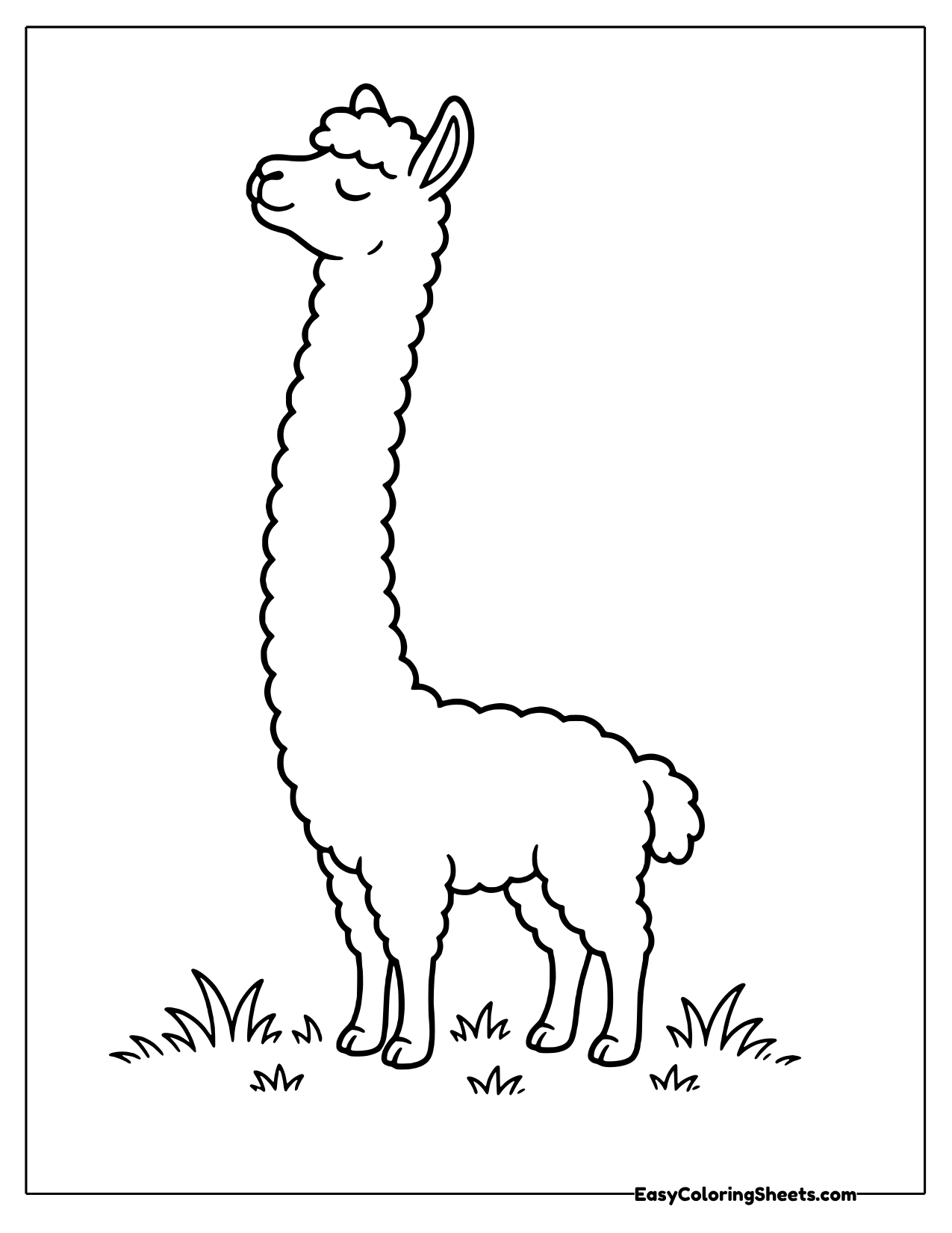 Llama stretching its long neck toward the sky