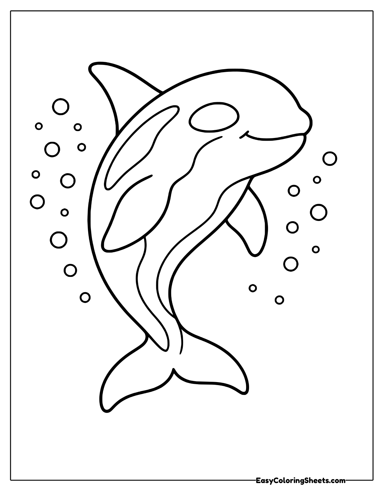 Orca curving through a trail of bubbles