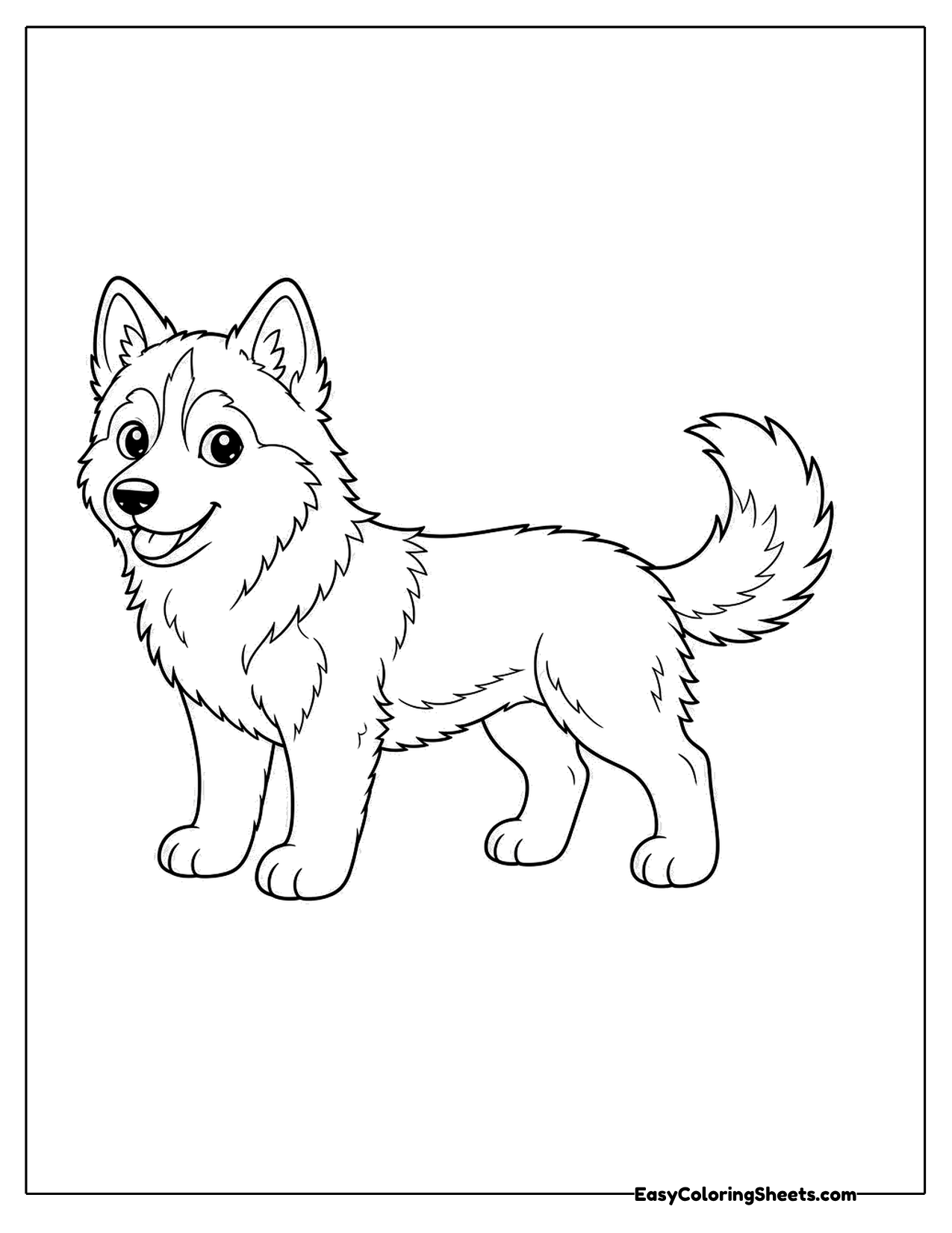Small husky standing in side view