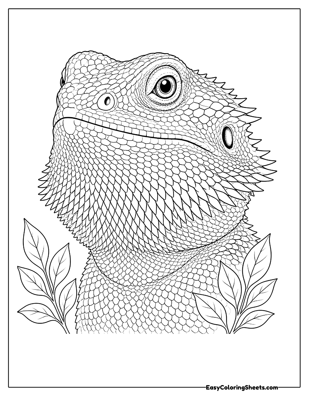 Close-up of a bearded dragon's spiky beard