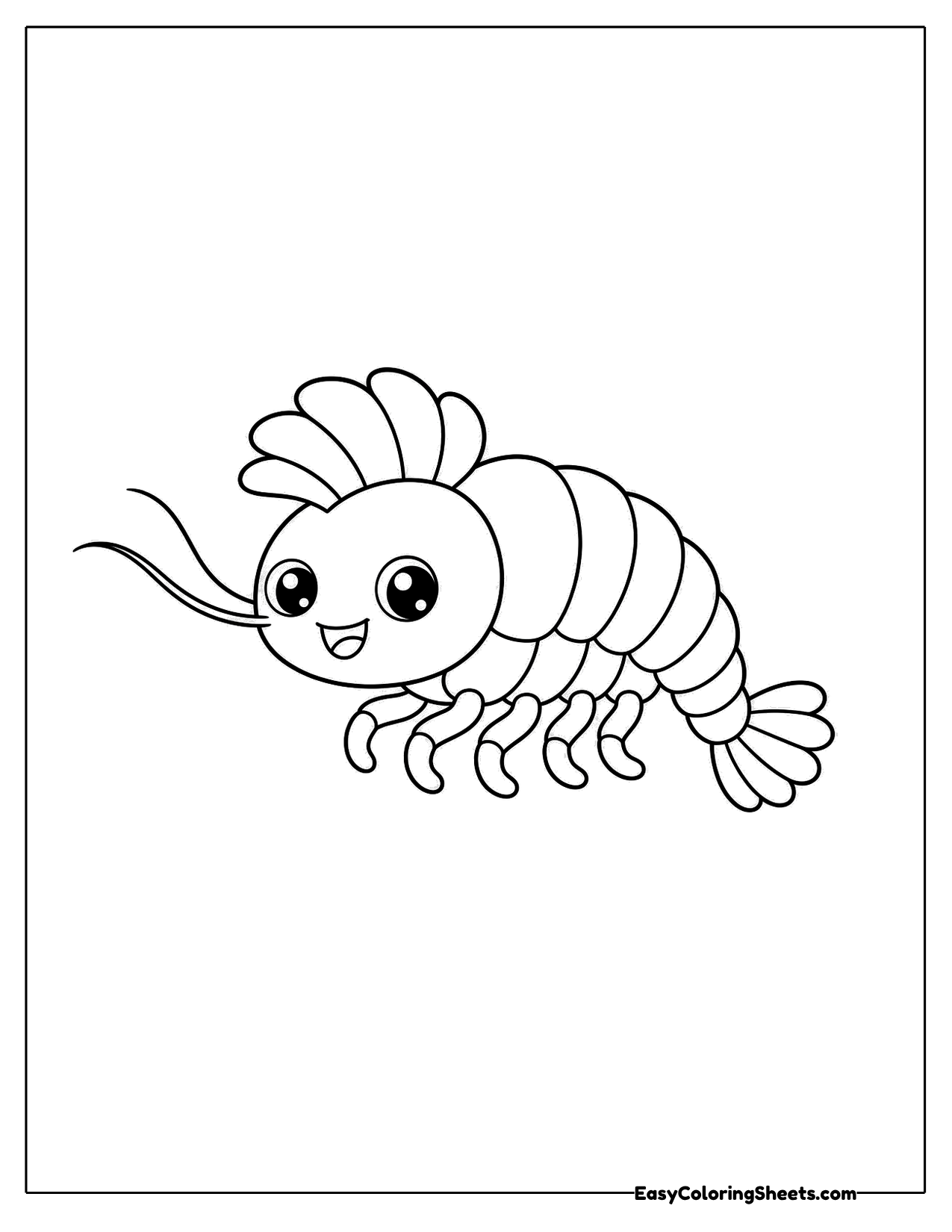 Small shrimp with long antennae and a segmented tail