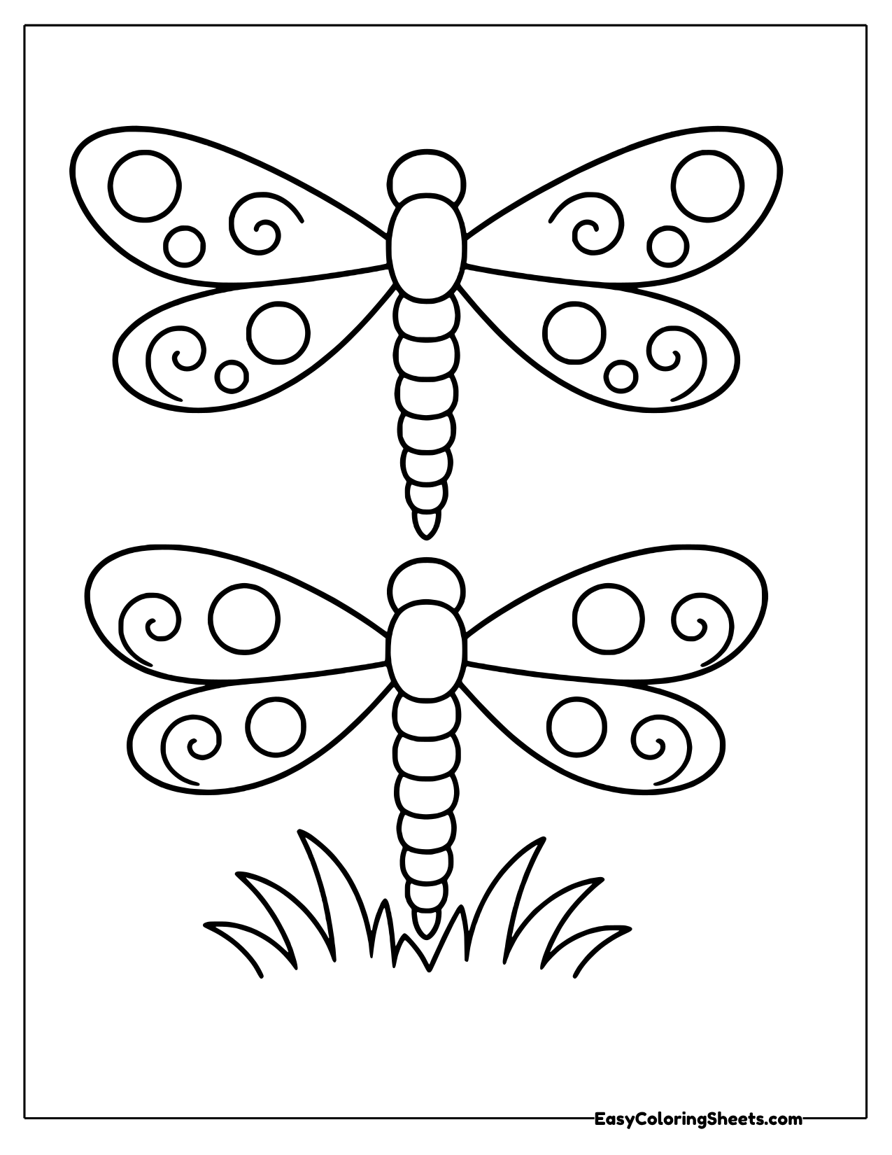 Pair of dragonflies with swirl patterns