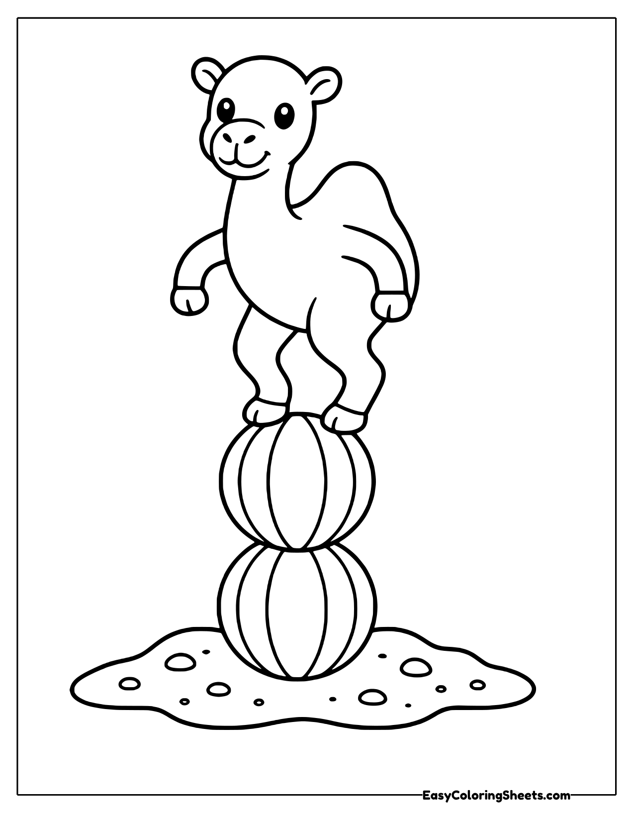 Camel balancing on stacked balls