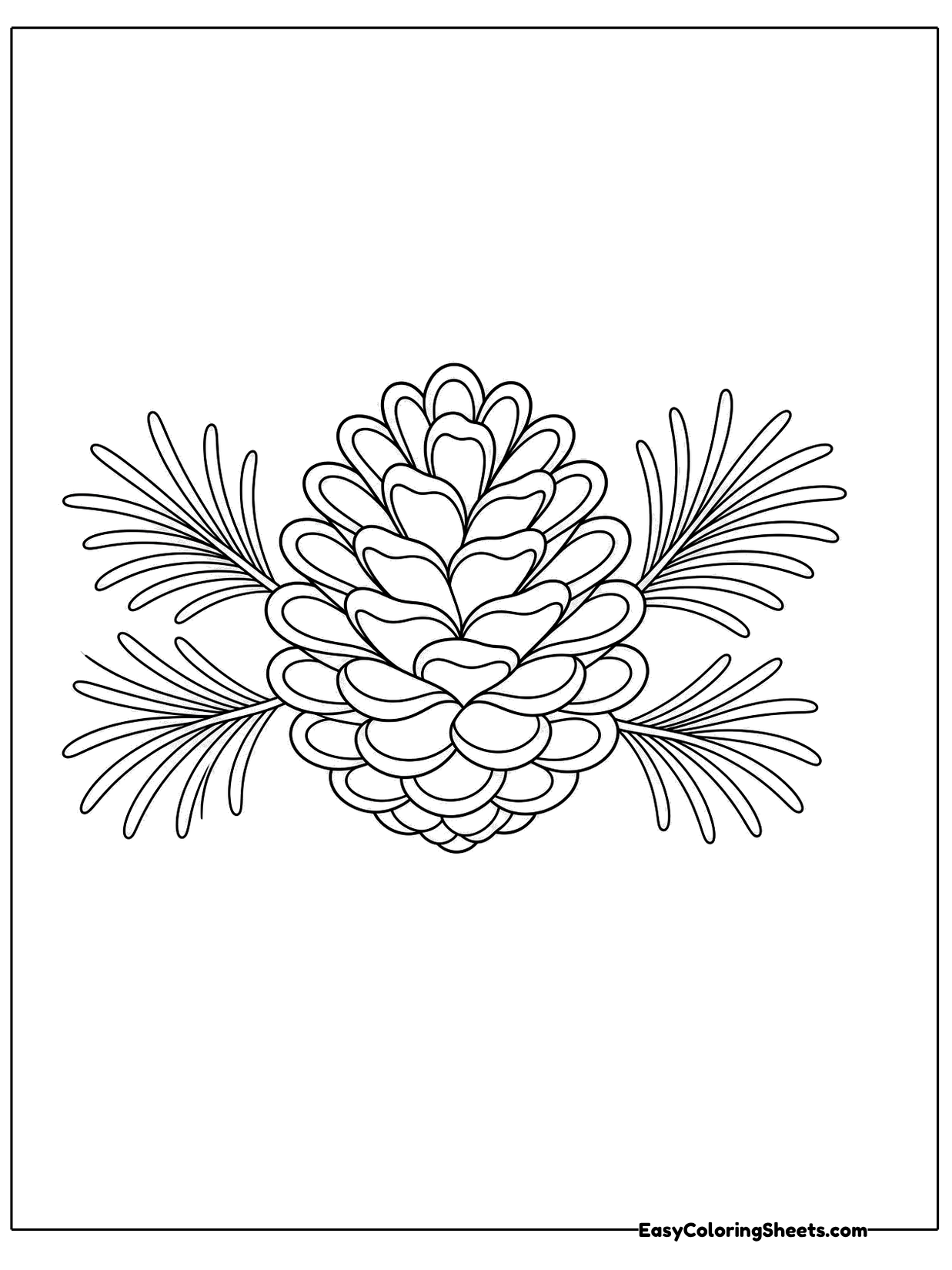 A pinecone sits between sprigs of pine needles spreading out on both sides.