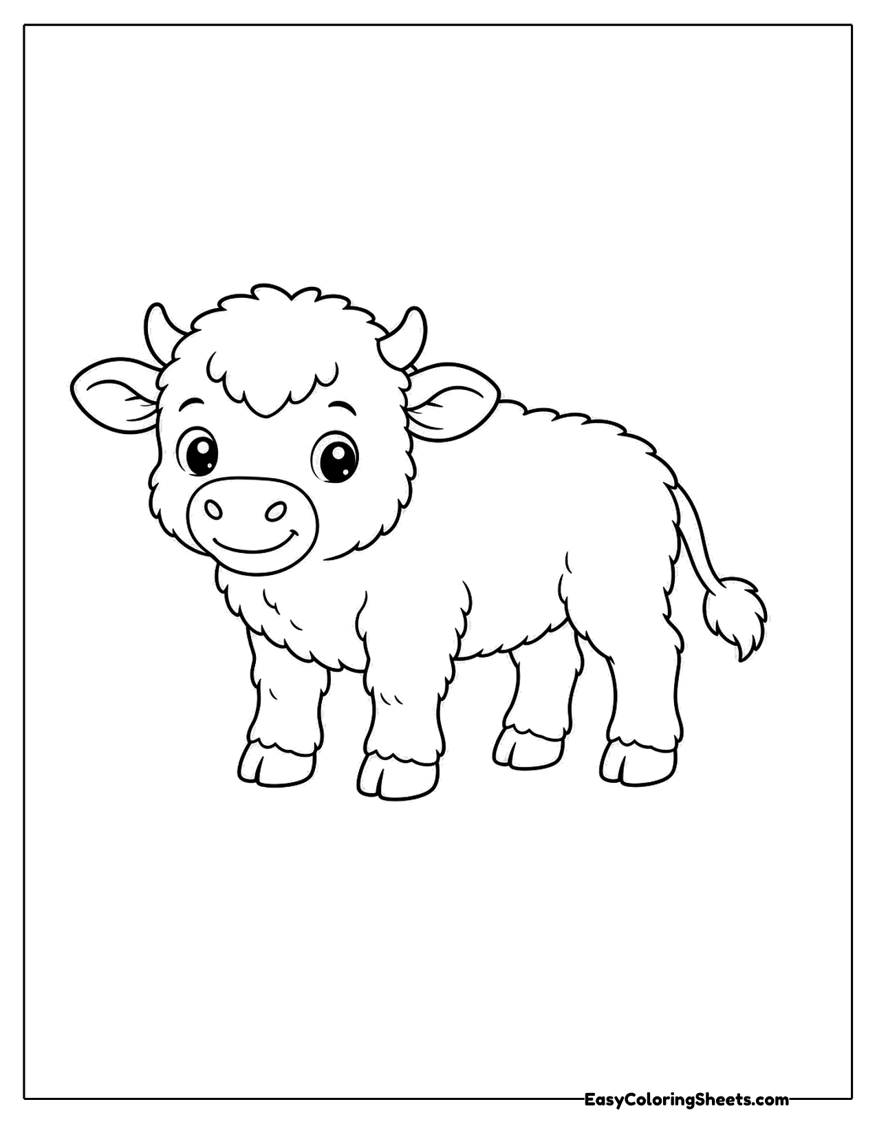 Fluffy baby bison standing