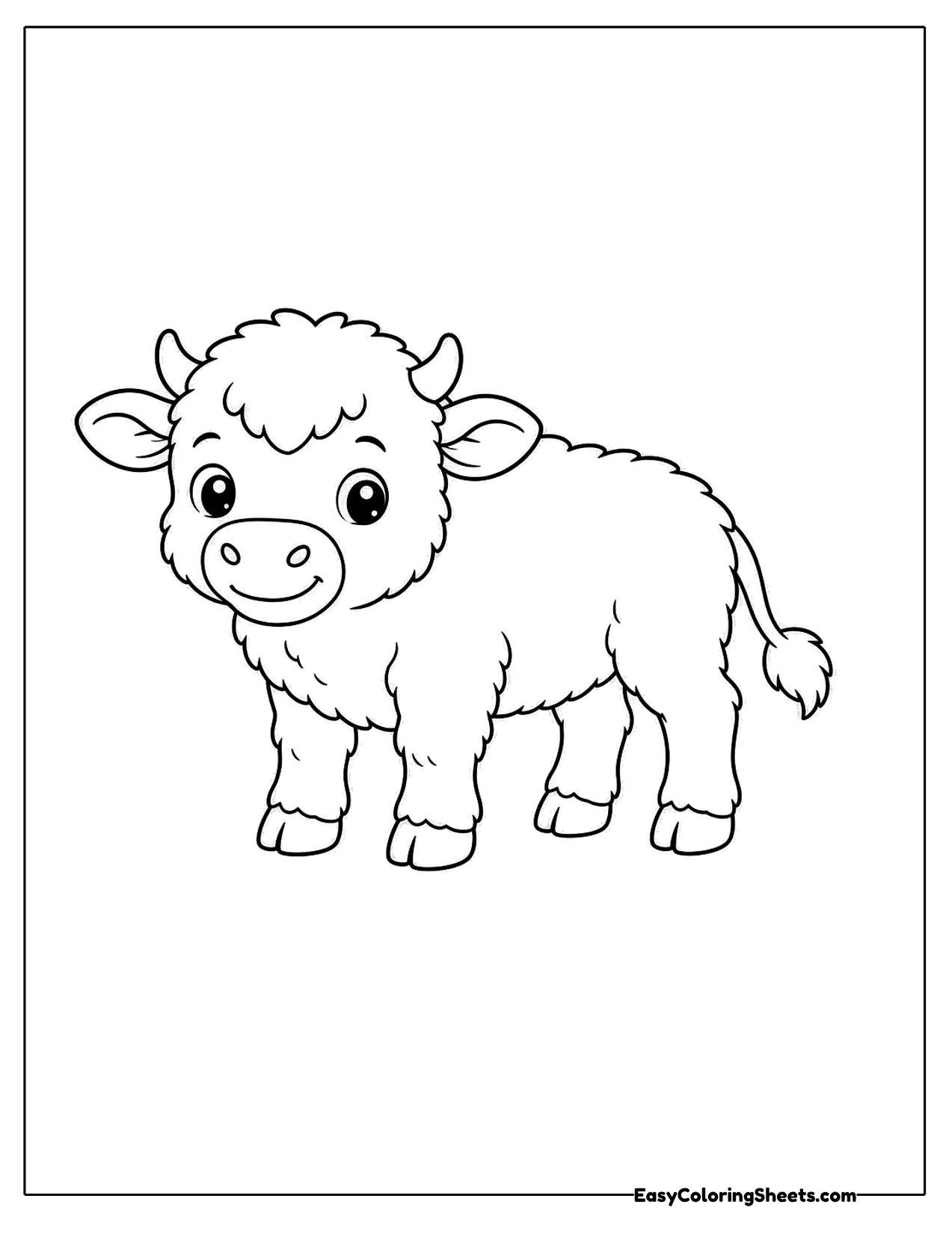 Fluffy baby bison standing
