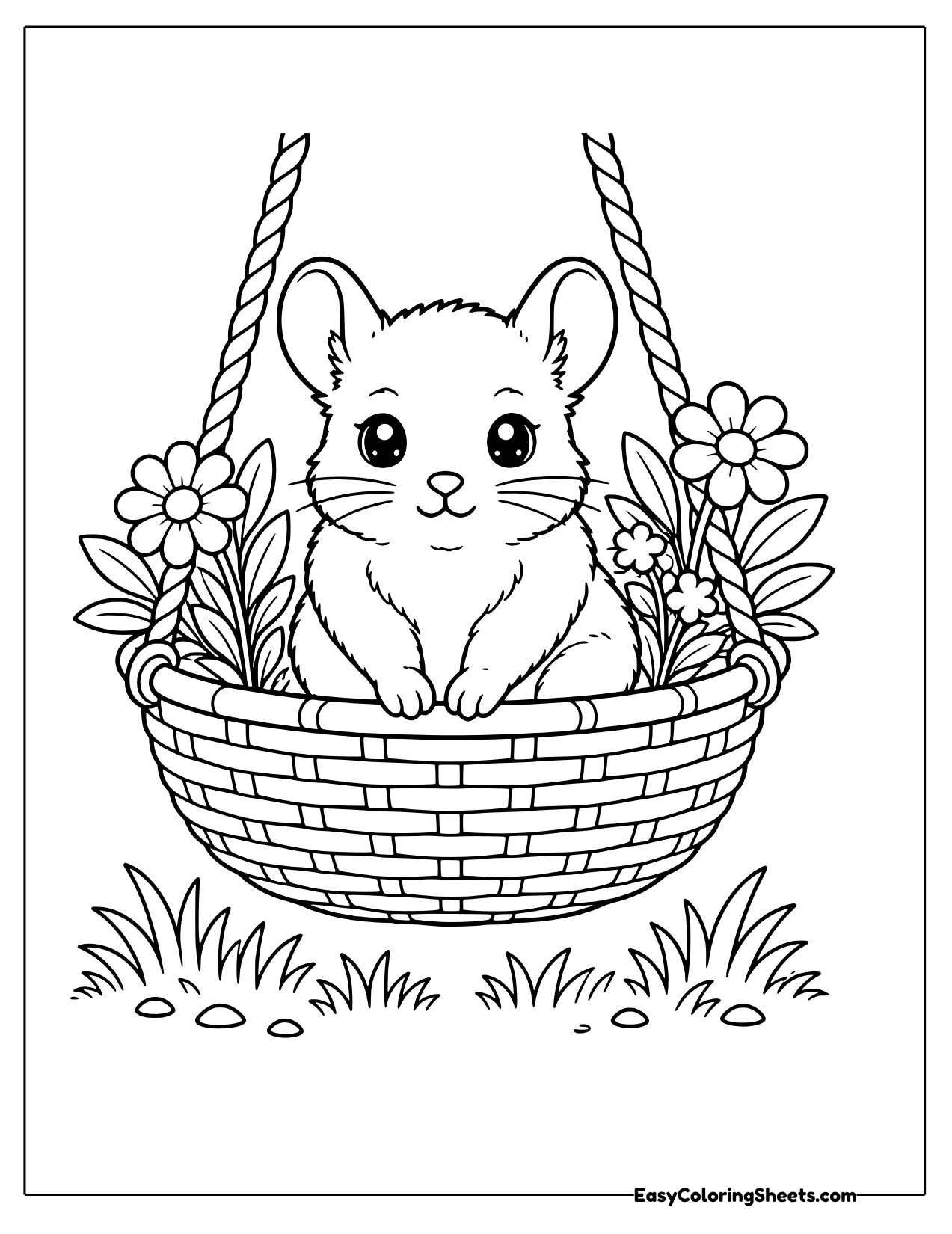 Chinchilla in a hanging flower basket