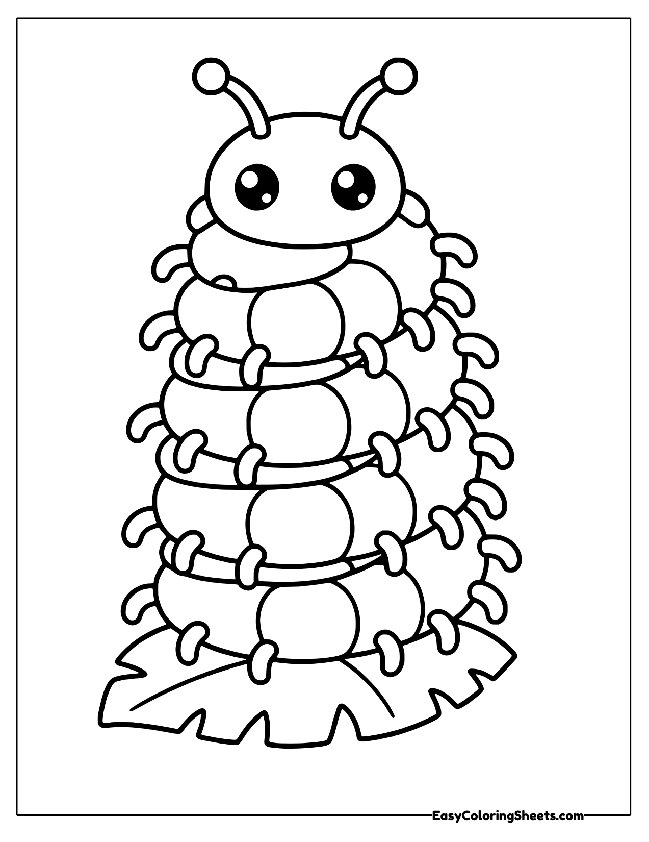 Centipede curled in a corkscrew spiral
