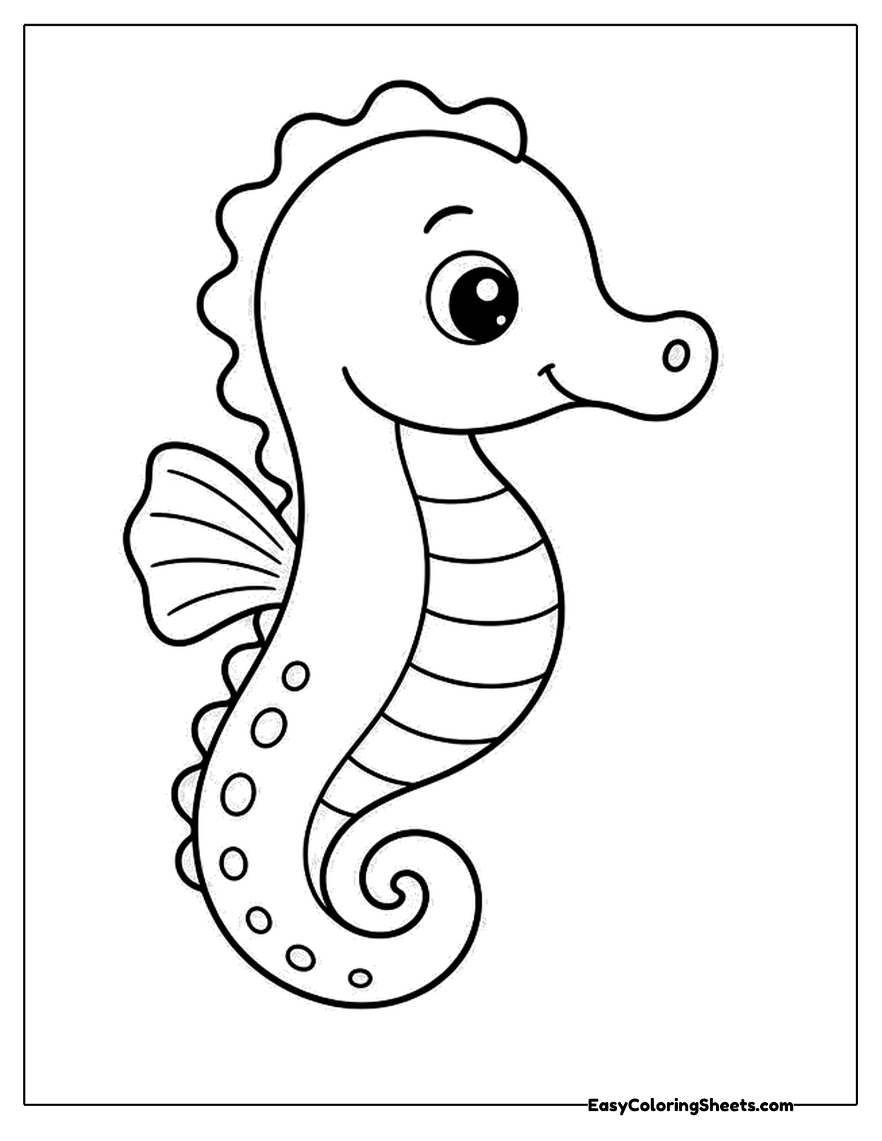 Slender seahorse with ringed belly and spiraled tail