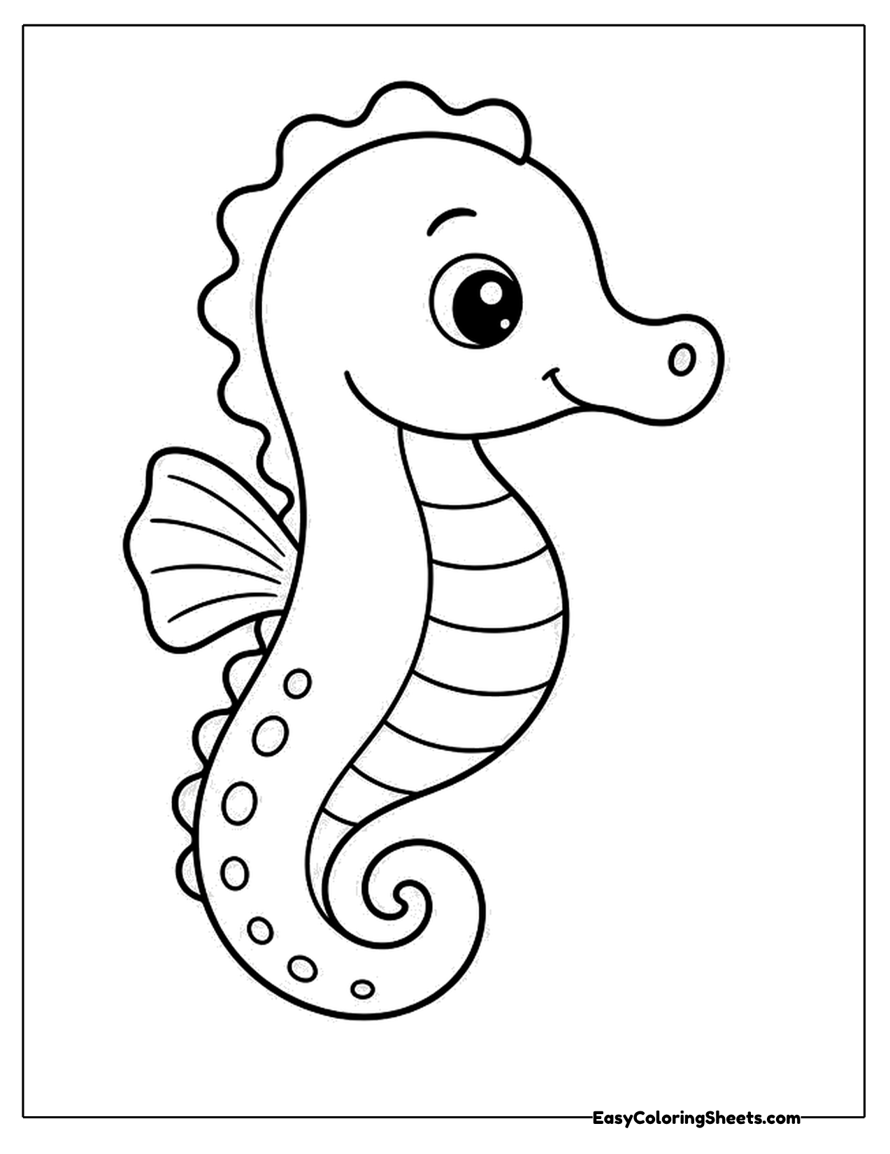 Slender seahorse with ringed belly and spiraled tail