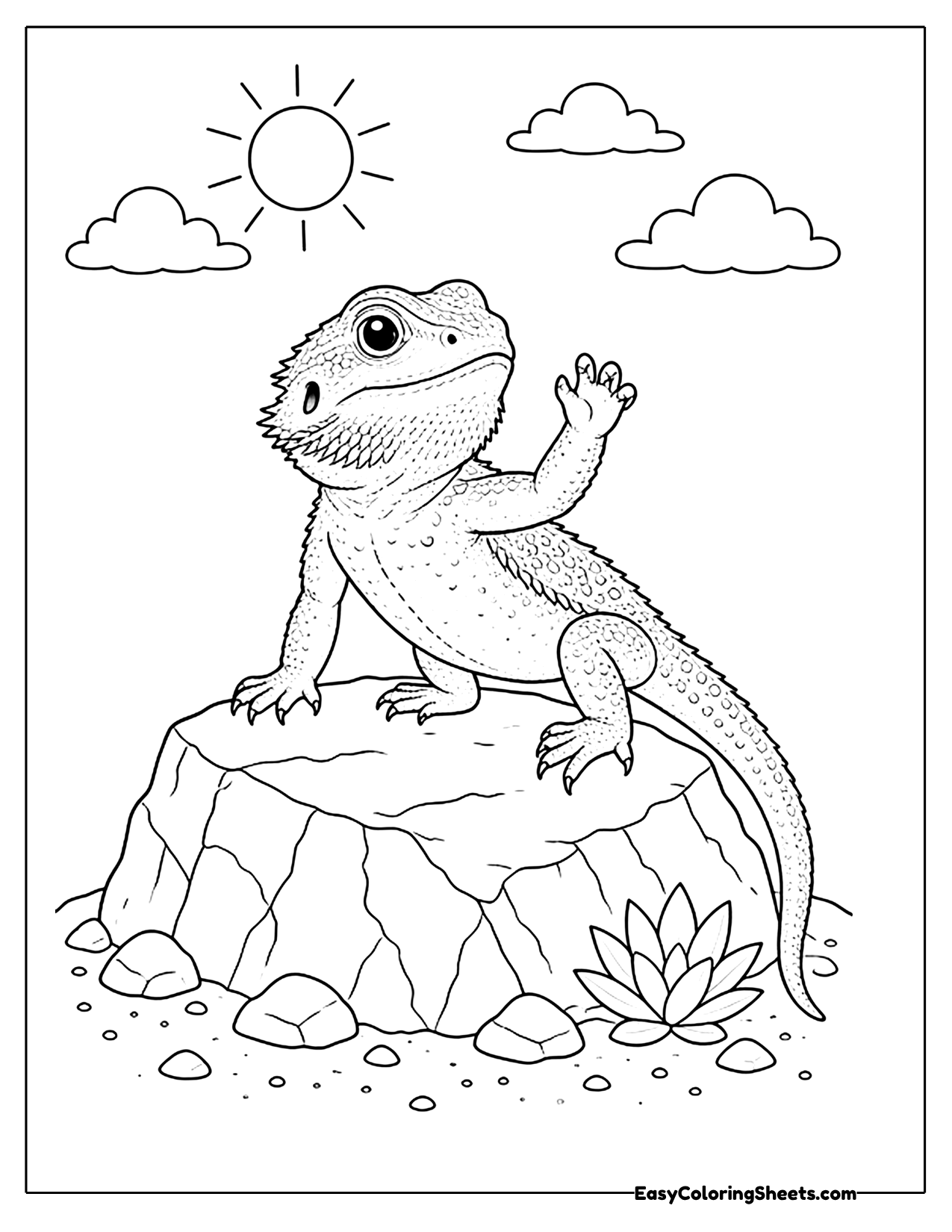 Bearded dragon waving from a rock
