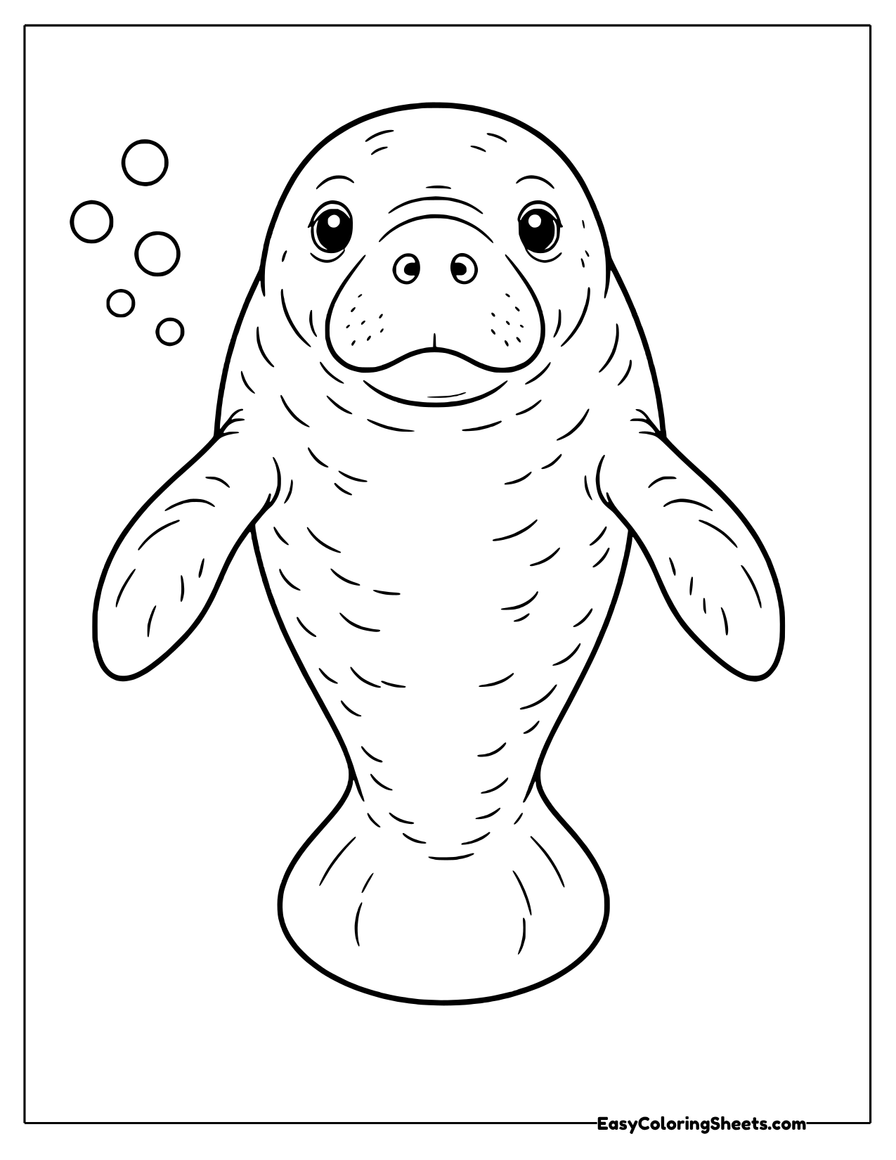 Manatee rising toward the surface with bubbles