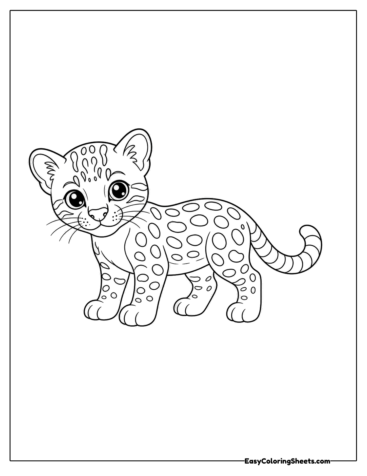 Baby ocelot walking with spots