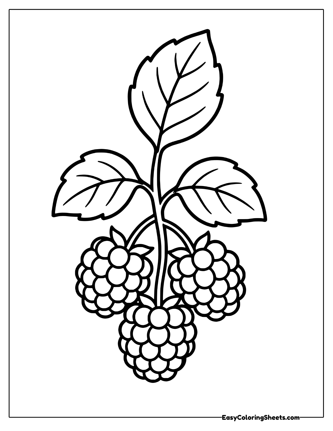 Three bumpy raspberries hanging from a leafy twig