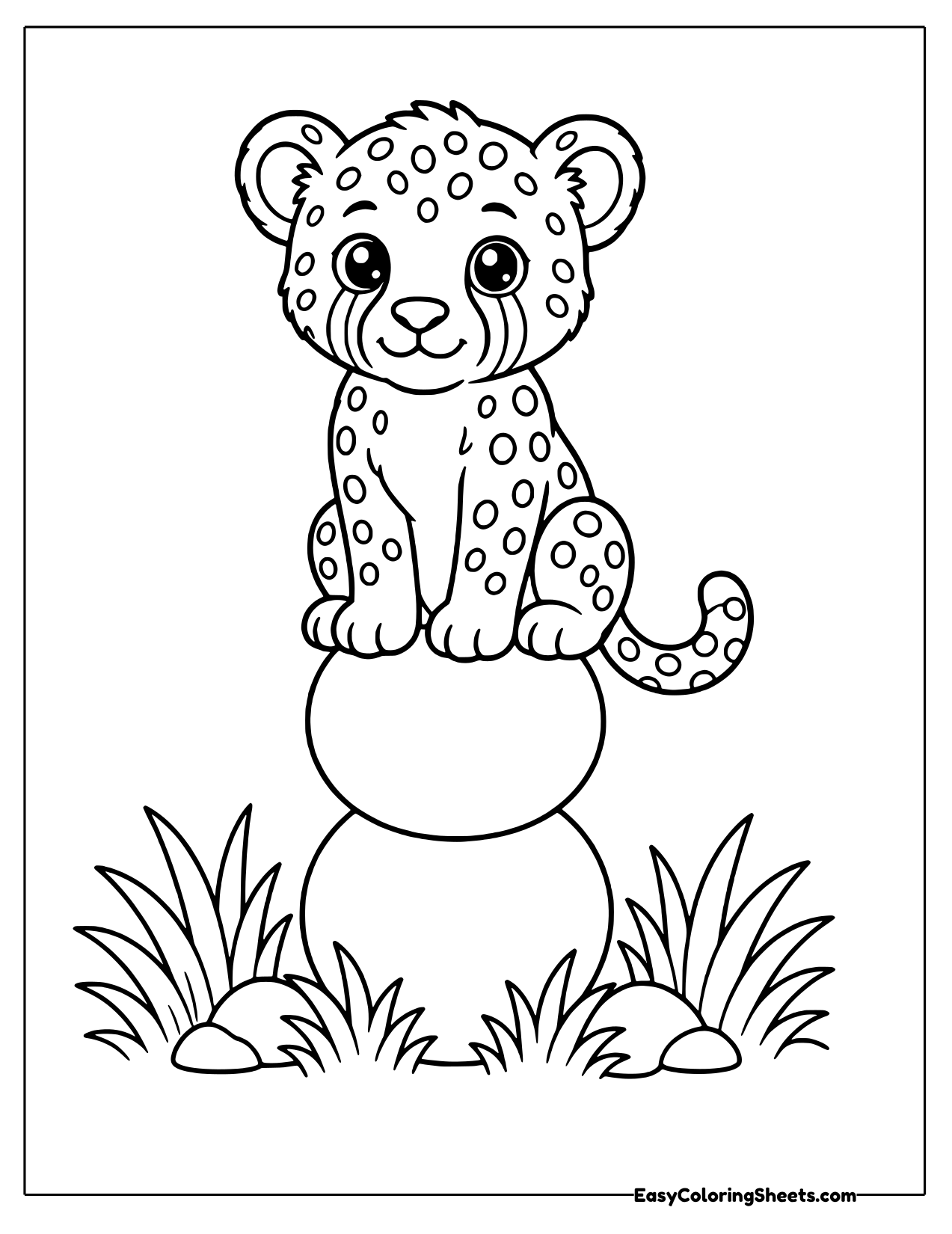 Cheetah cub balancing on a ball