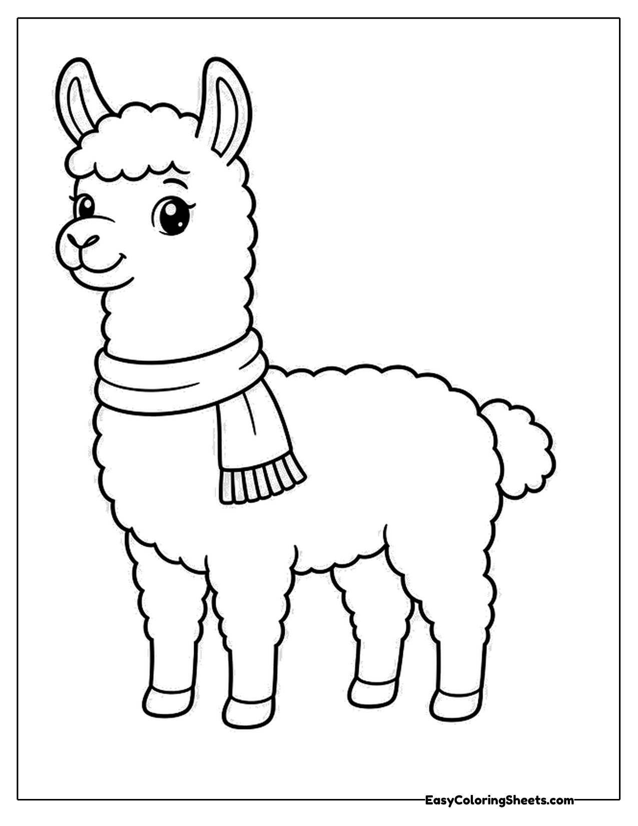 Llama wrapped in a fringed scarf