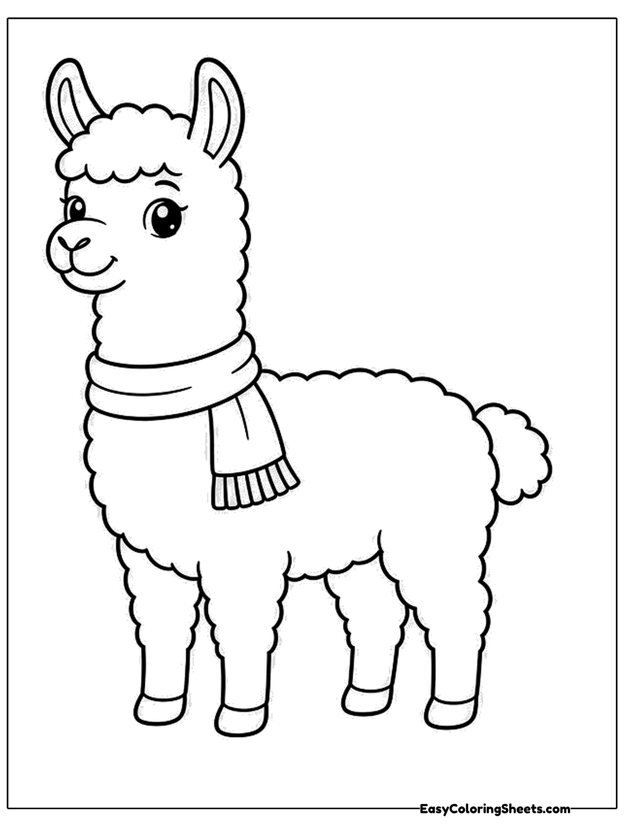 A woolly llama stands facing forward with a knitted scarf wrapped around its long neck, fringe hanging at the end.