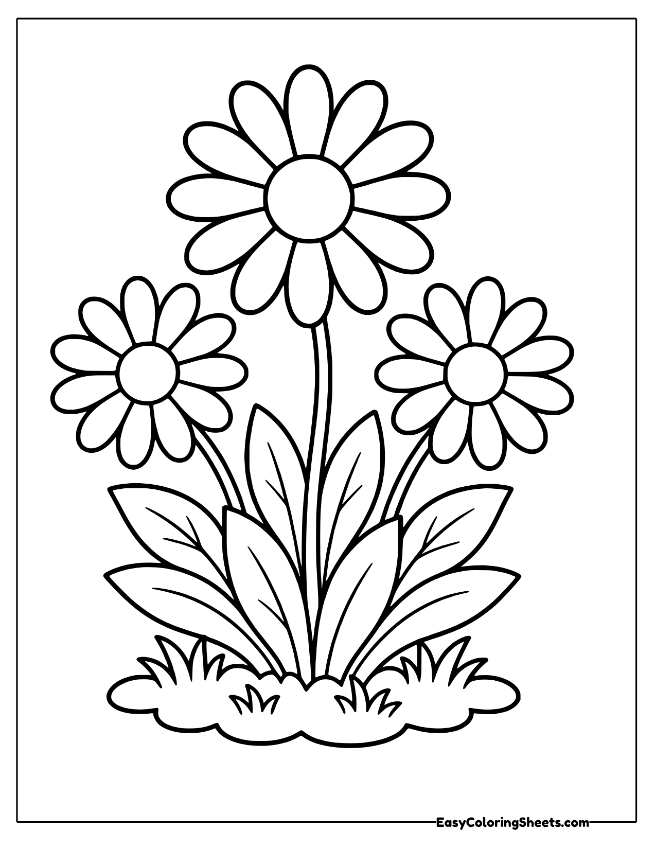 Clump of three daisies