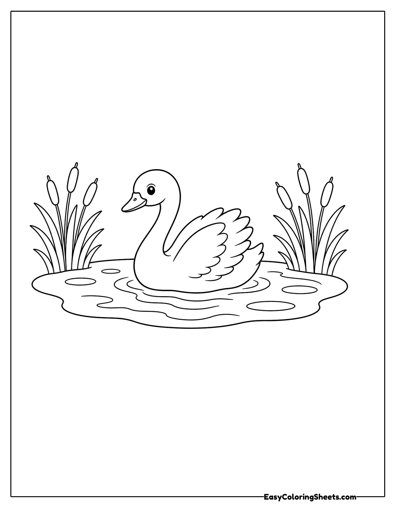 Swan swimming on a pond with reeds