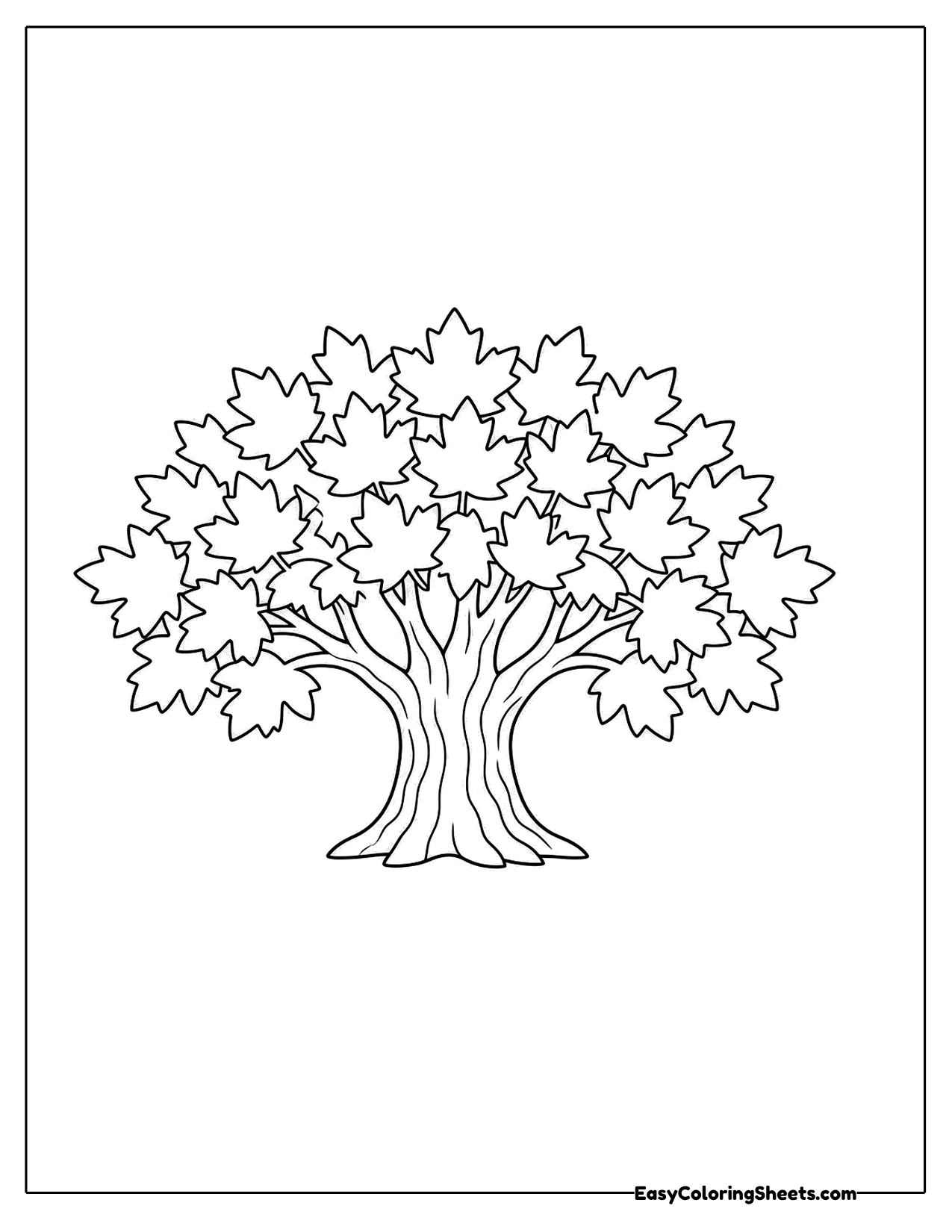 Full maple tree with a leafy crown