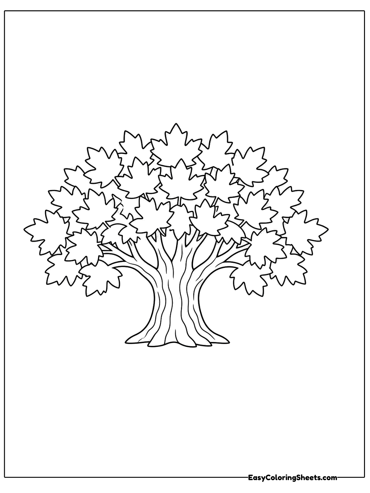 A maple tree with a thick trunk, spreading roots and a wide round crown of leaves stands in the center.