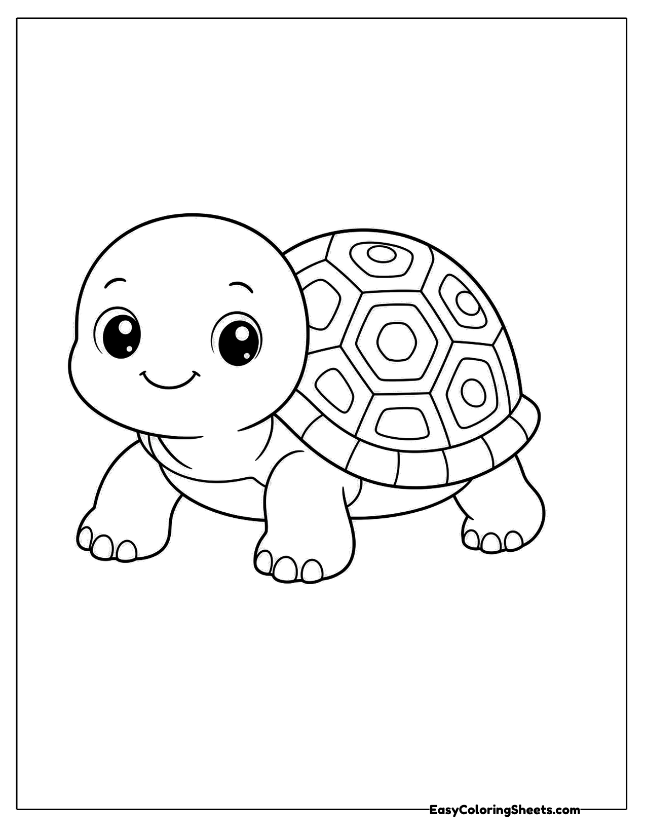 Smiling turtle with a round shell
