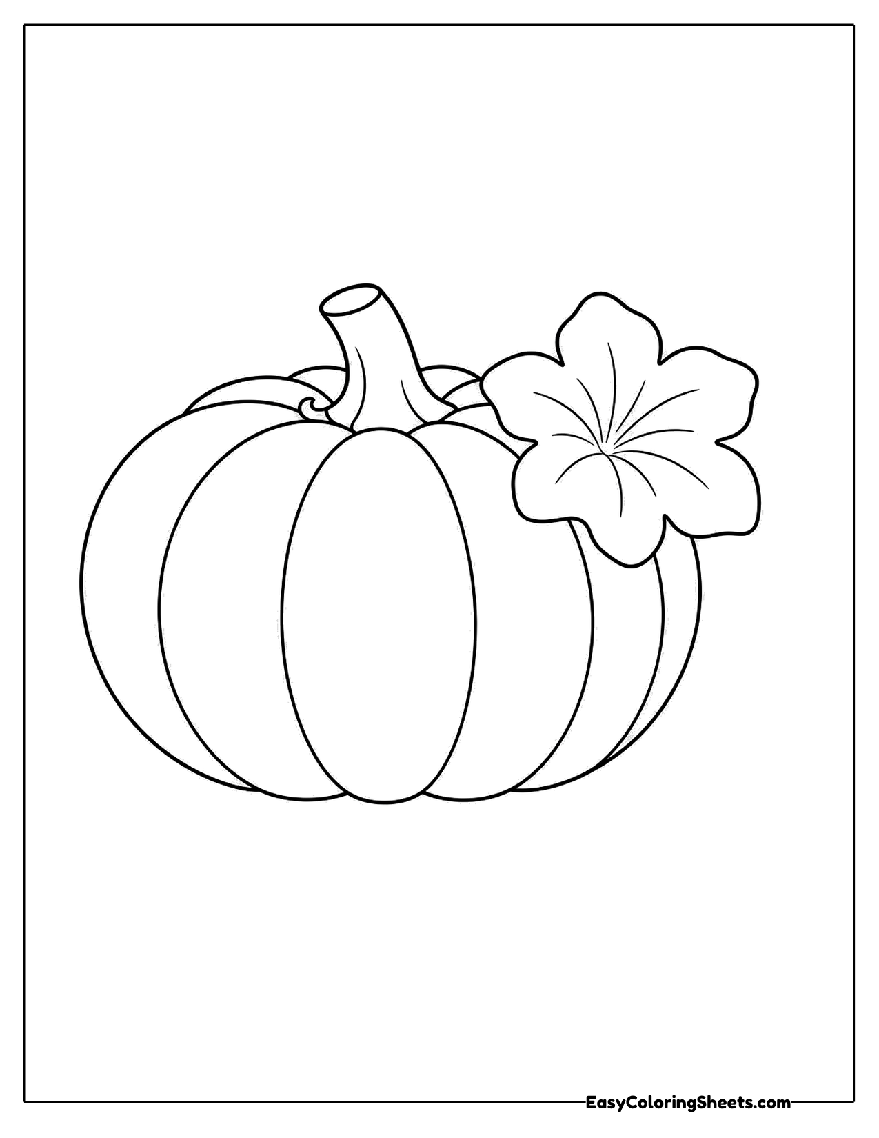 Big pumpkin with one leaf