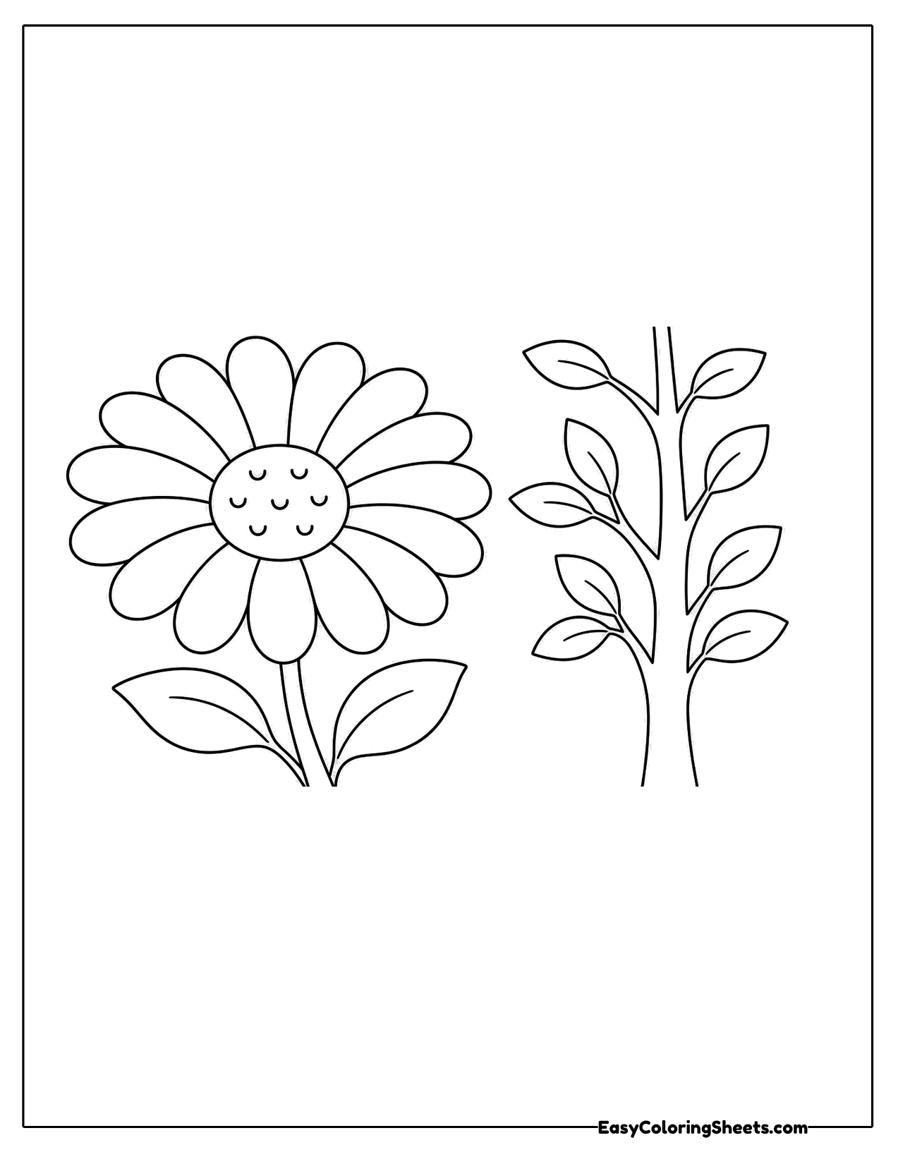 Daisy growing beside a leafy green plant